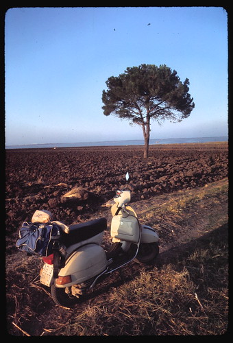 adriatic ektachrome film italy leica made predigital ranch scooters trees vespa view