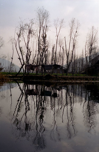 Dal lake - Kashmir | by gilberts