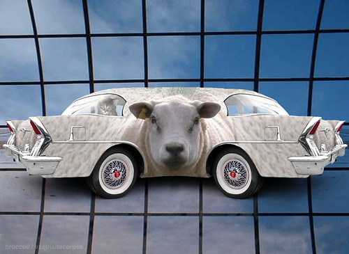 Driven by Ewe | by robbroccoli
