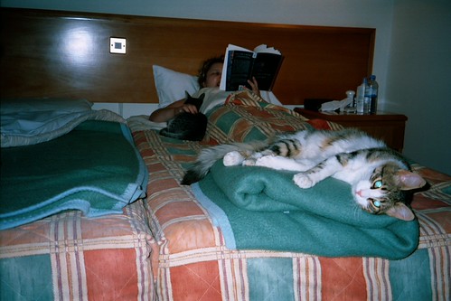 Shoozy and cats | by cadd