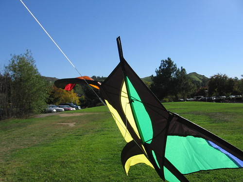 My kite