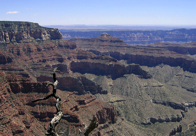 North Rim: A View of the Eastern Rim
