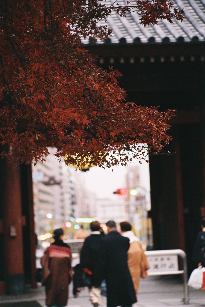 momiji