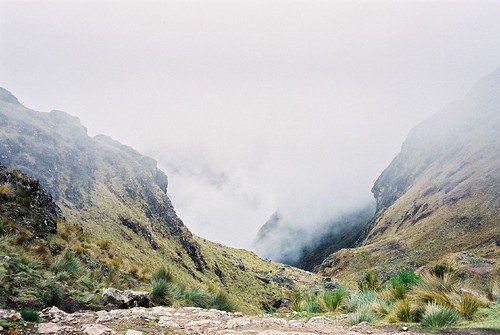 The way foward | by Simon Cast