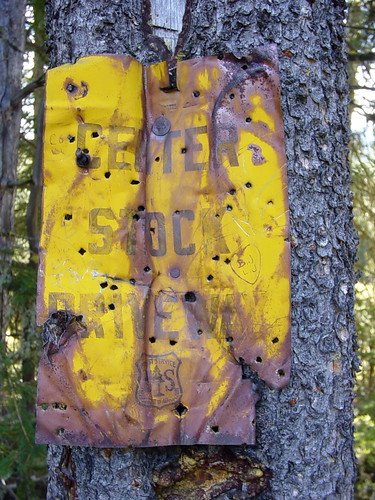 blue tree sign yellow forest geotagged rust montana bozeman national target gallatin nf hyalite geolat45492871 geolon110981140