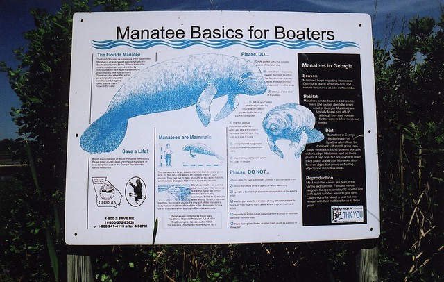 Manatee Basics