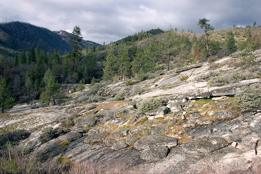 Speas Ridge