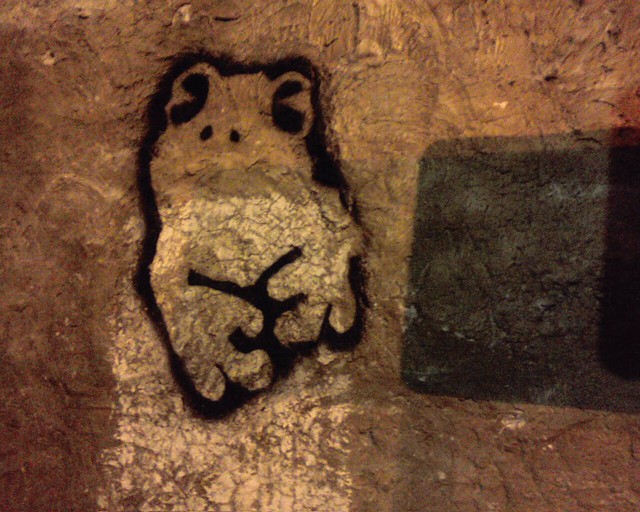 Frog on a wall