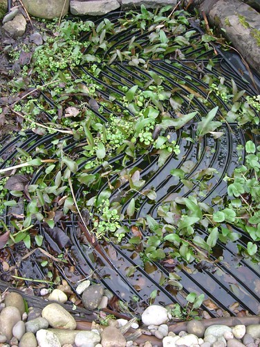 Wind on Water Blacksmith Made Pond Cover | by Adrian The Smith at Trinity Forge