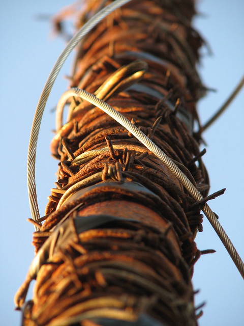 Rusty Barbed Wire