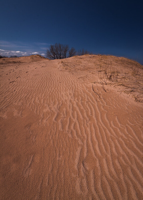 Dune Flow