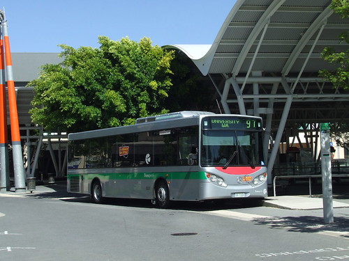 TP 1331 Subiaco | by 8888transportpix