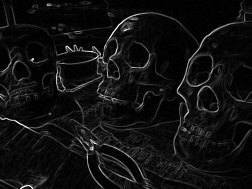 Skull Workshop | A photoshop'd image of three skulls being w… | Flickr