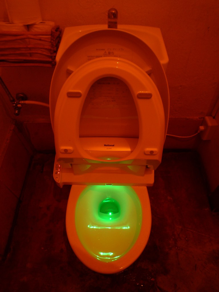 Neon Green Toilet, Not exactly an artful shot, but felt com…