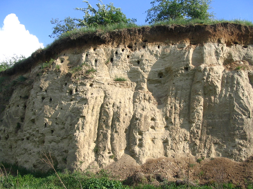 Loess Definition Loess Hills National... Loess Hills National Scenic