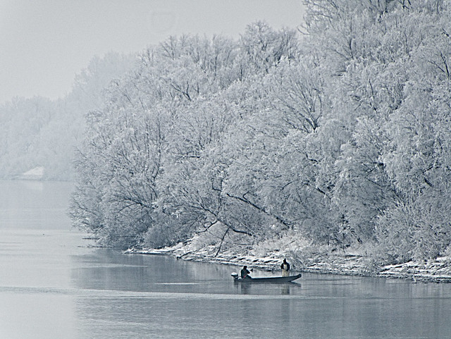 River Sava - fishing @ -7°C