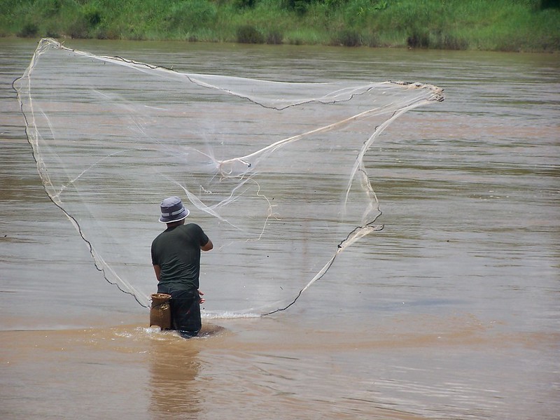 Fishing for smelt in the Mekong River