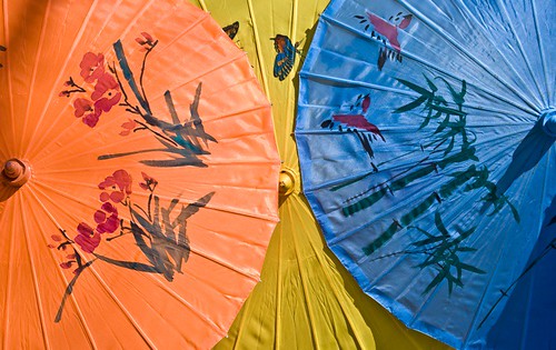 Mexico City umbrellas
