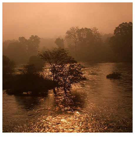 morning red orange sun mist color colour tree yellow fog sunrise river flow gold earlymorning current reddish