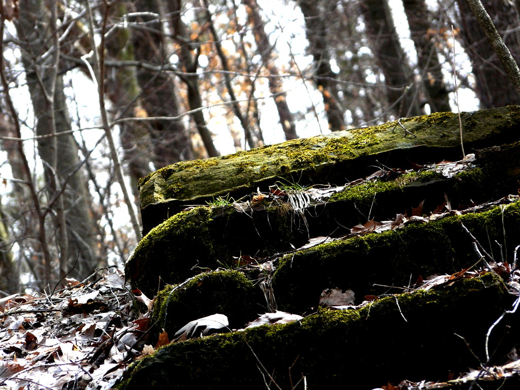 Mohican Mountain Bike Trail, near 2027 Mohican 100 Mile/100K/50K MTB Race OMBC