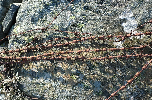 German barbed wire WWII