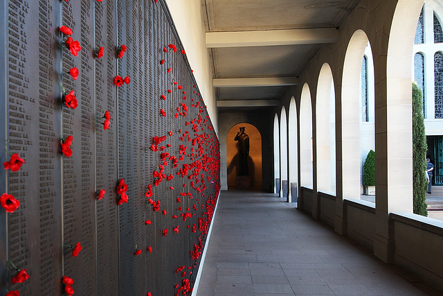Wall of poppies