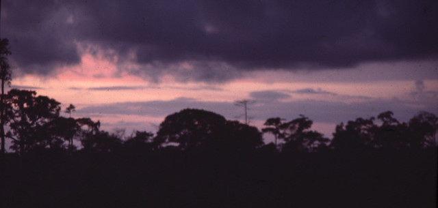 Tumfa sunset