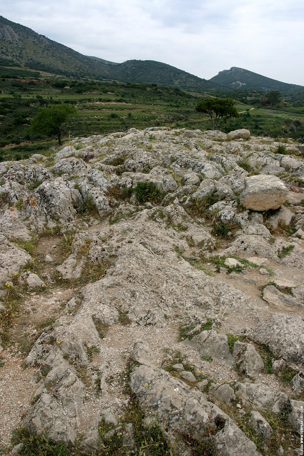 GR06 0239 Mycenae