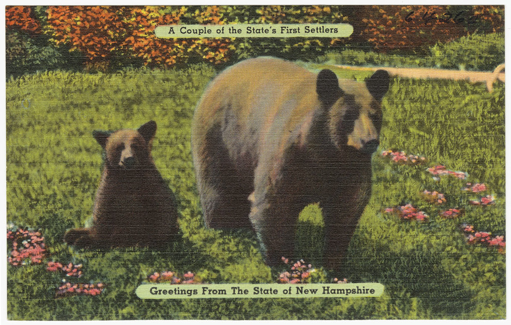 A couple of the state's first settlers, greetings from The State of New Hampshire