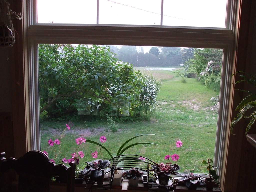 Out the new window at the farm | buckle1535 | Flickr