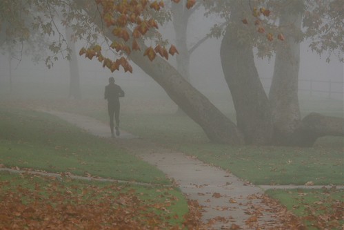 Into the Mist