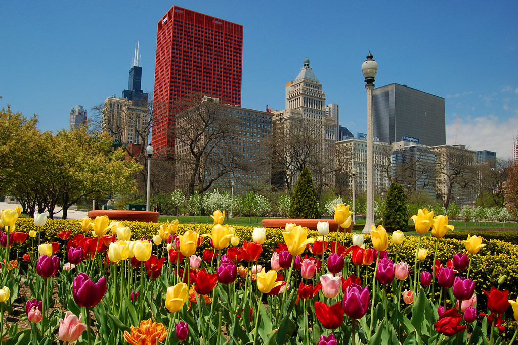 Spring in Chicago | A stroll in the park on a beautiful day | Ferdinand M |  Flickr