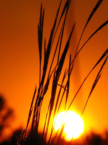 sunset orange grass prairie laphampeak aplusphoto theperfectphotographer