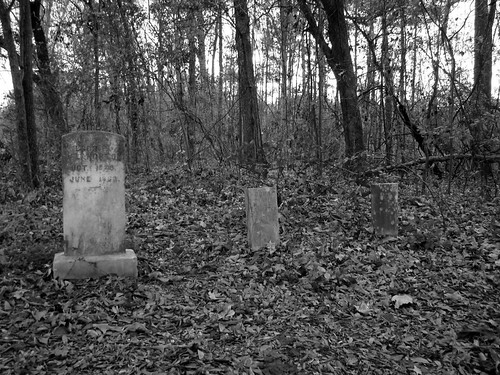 cemetery tombstone forgotten