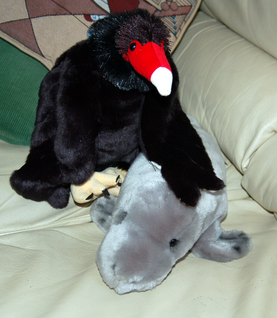 Mort the Vulture and Hugh Manatee | I got two plush toys as … | Flickr