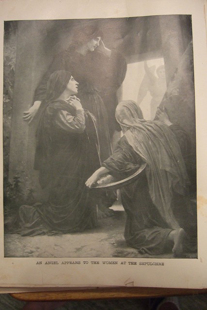 1898 Bible - a photo on Flickriver