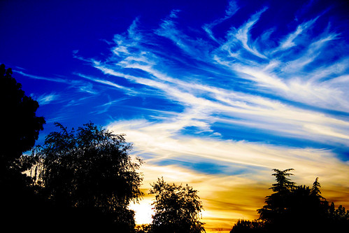 blue sunset shadow sky orange tree beautiful clouds digital canon eos rebel xt colorful photographer zoom gorgeous teen teenager 1855mm wispy lense platinumphoto
