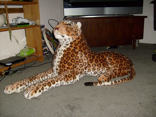 Stuffed Leopard Rescued | by Khast