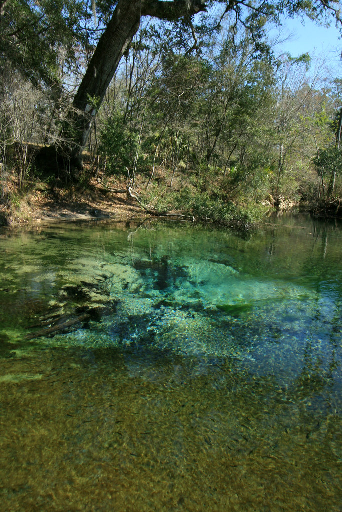 Emerald Spring, Vent B, Econfina Creek, Bay County, Florid… | Flickr