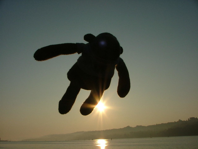 Monkey - Sunrise Jump - Brest, France - Wednesday April 11th 2007
