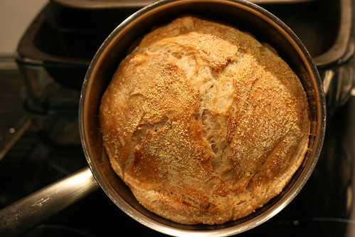 Small pot no knead bread | by monica.shaw