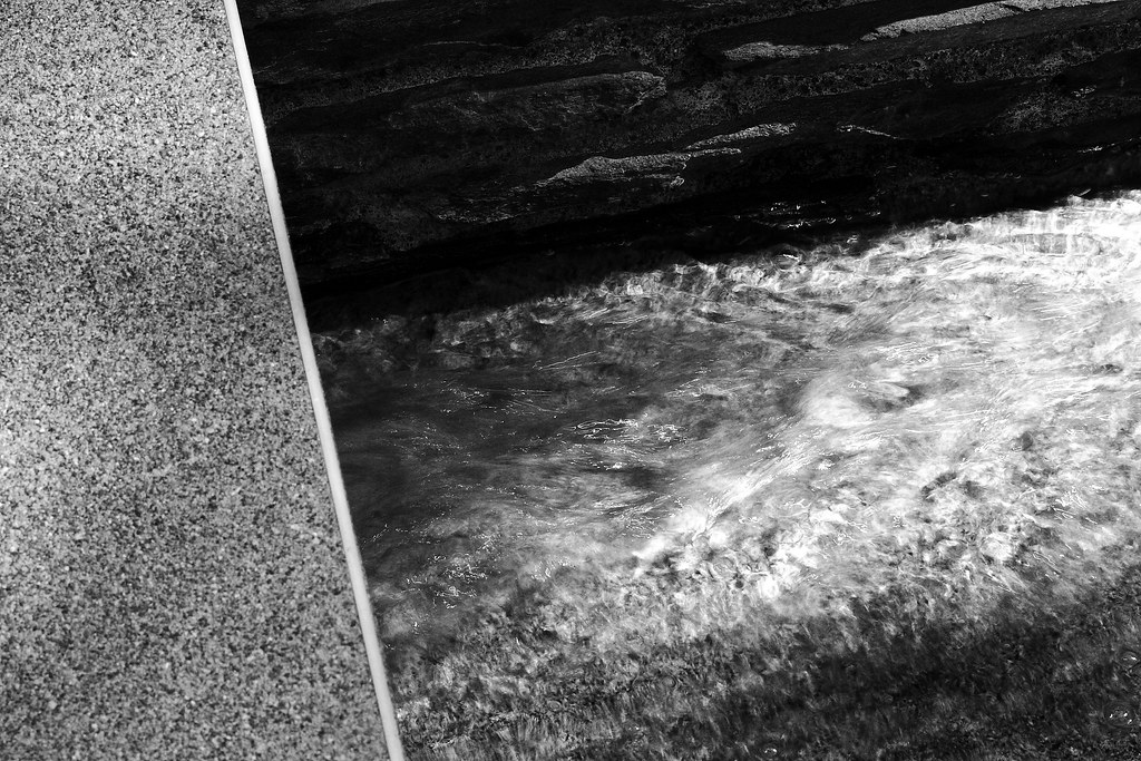 The River Wild