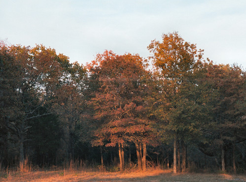 autumn trees color fall rural 35mm landscape geotagged wickdartsdesign ericwaisman