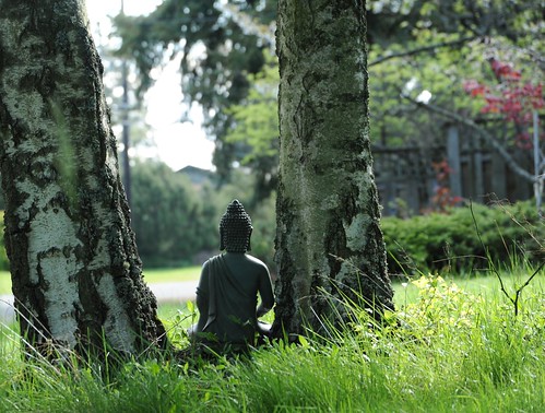 Between two diamond white birch trees Buddha meditates in … - Flickr