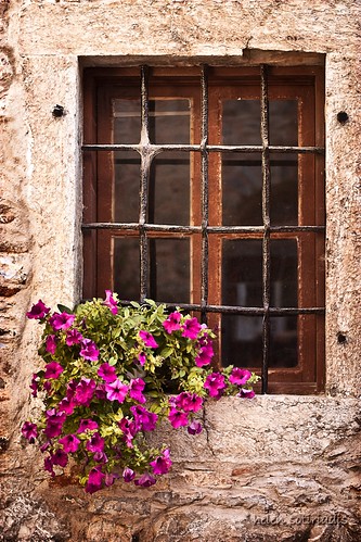 flowers detail window canon published greece chios canonef50mmf14usm mesta canoneos40d