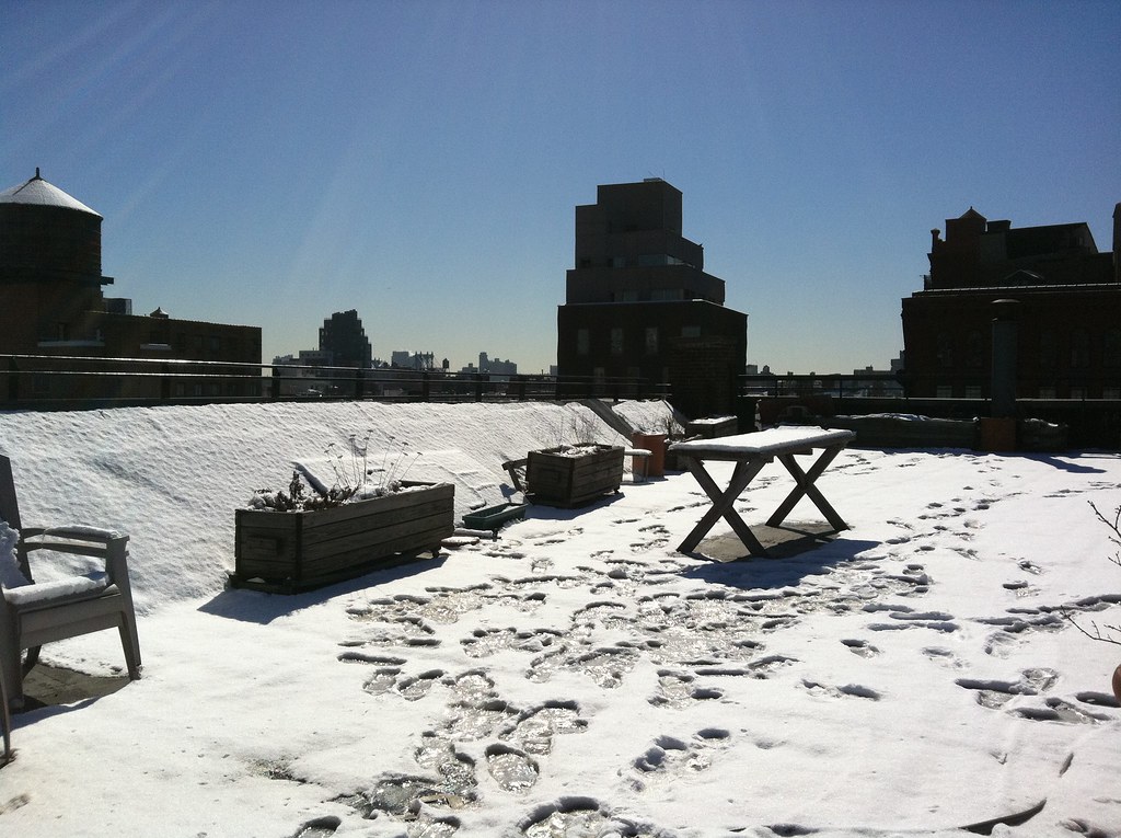 Rooftop
