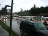 Long lineup of trolley buses