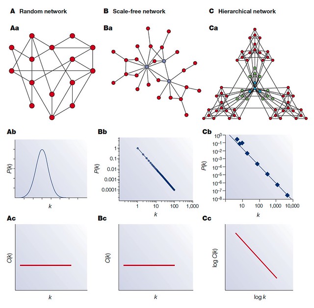 Network Models - Random network, Scale-free network, Hierarchical network