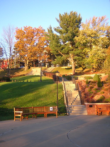 dawn by kittymearskoar, morning school trees orange sun green fall college beautiful grass stairs sunrise bench campus dawn