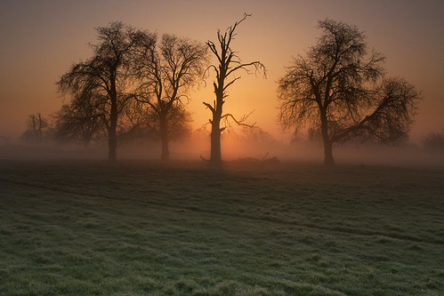 sunrise dawn frost buckinghamshire slough berkshire kevday langleypark langleycountrypark